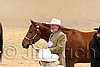 QH062_0411n.jpg