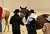 QH062_0412n.jpg