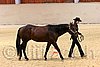 QH062_0419n.jpg