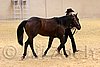 QH062_0420n.jpg