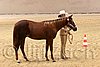 QH062_0421n.jpg