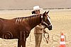 QH062_0422n.jpg