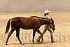 QH062_0423n.jpg