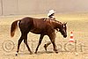 QH062_0424n.jpg
