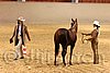 QH062_0425n.jpg