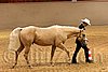 QH062_0426n.jpg