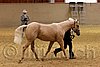 QH062_0427n.jpg