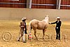 QH062_0428n.jpg