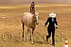 QH062_0429n.jpg