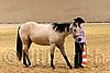 QH062_0430n.jpg
