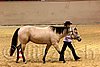 QH062_0431n.jpg