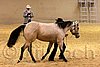 QH062_0432n.jpg