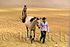 QH062_0433n.jpg