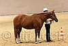 QH062_0434n.jpg