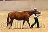 QH062_0435n.jpg