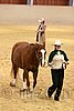 QH062_0437n.jpg