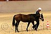 QH062_0438n.jpg
