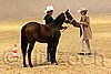 QH062_0440n.jpg