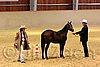 QH062_0441n.jpg