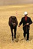 QH062_0442n.jpg