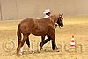 QH062_0444n.jpg