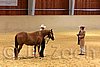 QH062_0445n.jpg