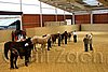 QH062_0450n.jpg