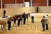 QH062_0451n.jpg