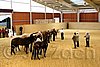 QH062_0452n.jpg