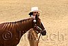 QH062_0456n.jpg