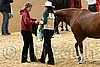 QH062_0464n.jpg