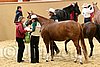 QH062_0465n.jpg