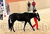 QH062_0466n.jpg
