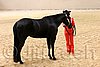 QH062_0467n.jpg