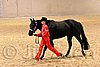 QH062_0472n.jpg