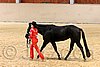 QH062_0473n.jpg