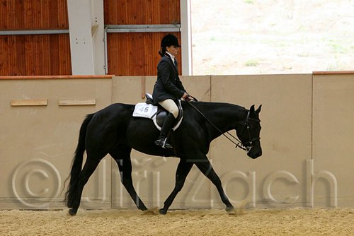 QH062_0738n.jpg
