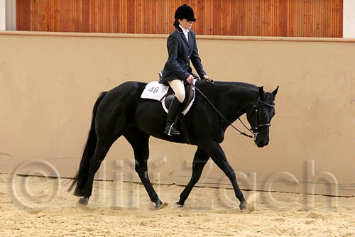 QH062_0749n.jpg