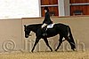 QH062_0732n.jpg