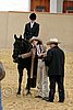 QH062_0741n.jpg