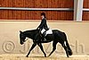 QH062_0744n.jpg