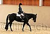QH062_0747n.jpg