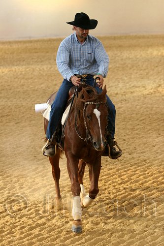 QH062_0771n.jpg
