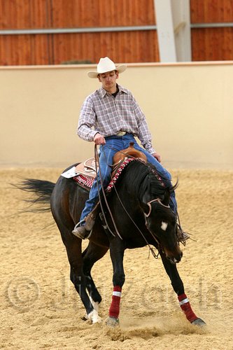 QH062_0785n.jpg