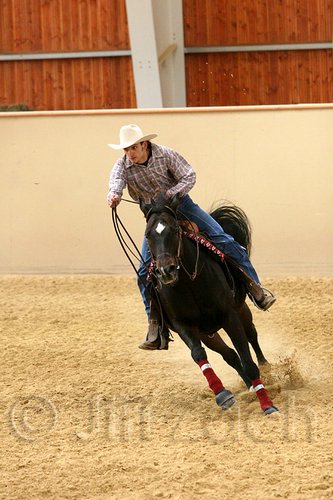 QH062_0800n.jpg