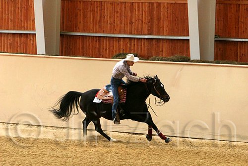 QH062_0803n.jpg