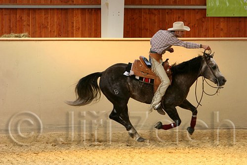 QH062_0861n.jpg
