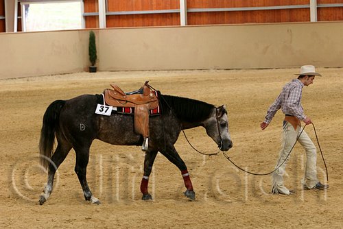 QH062_0874n.jpg
