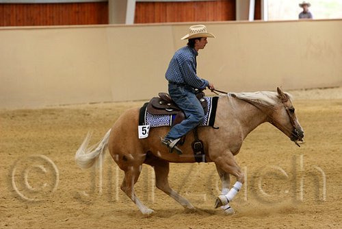 QH062_0883n.jpg