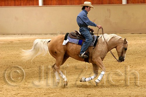 QH062_0888n.jpg